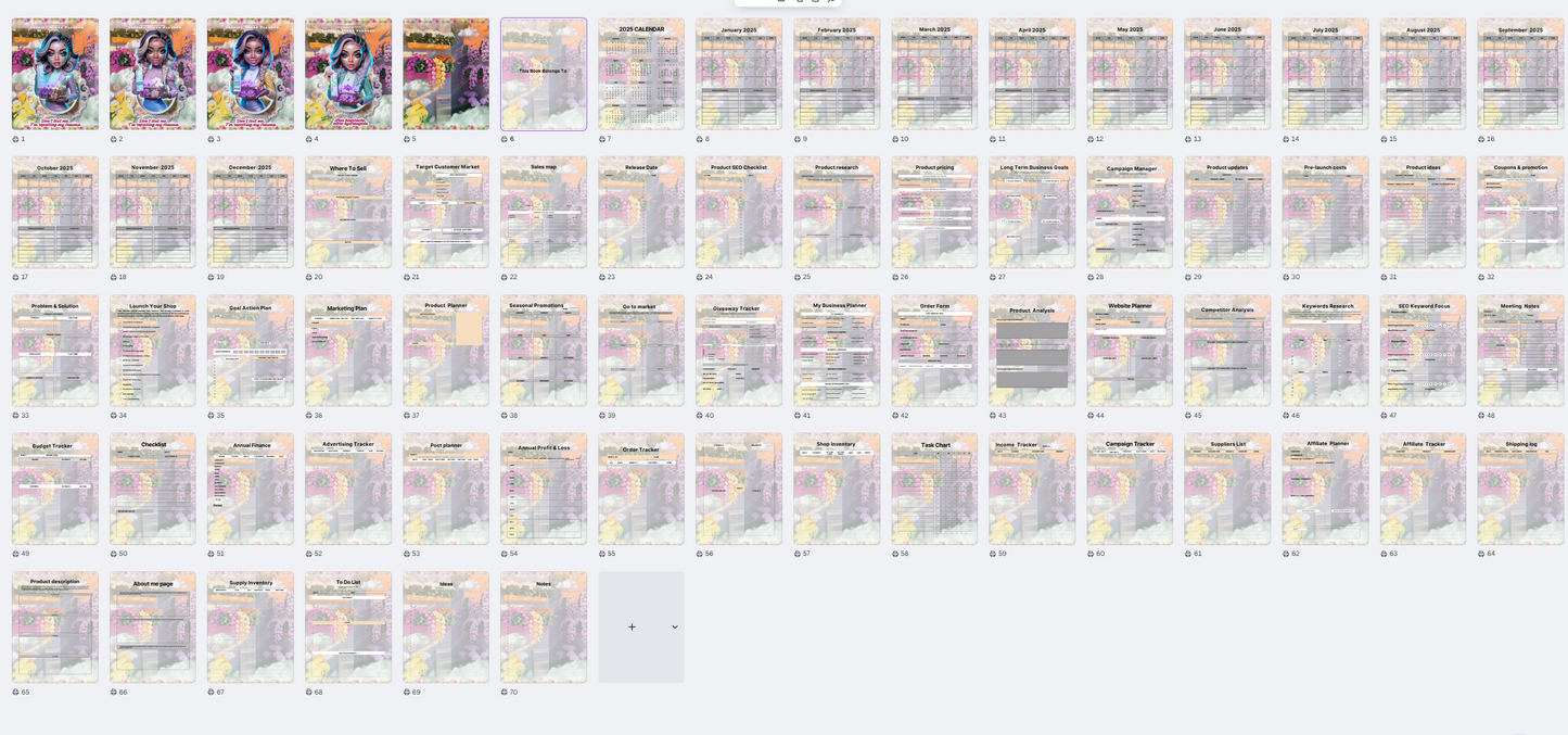 Shopify Store Planner 2025 (PLR)