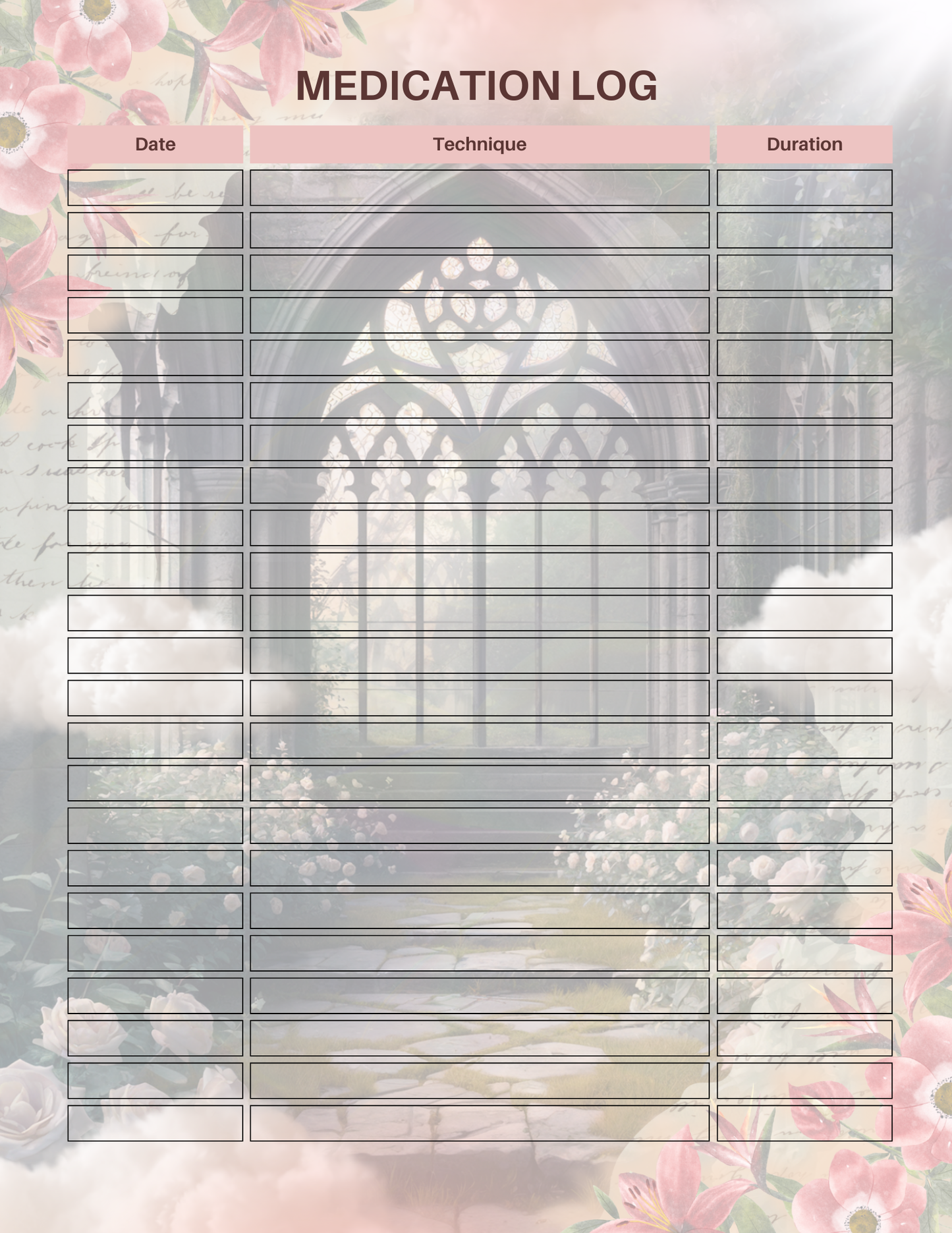 Abundance Mindset Journal (PLR)