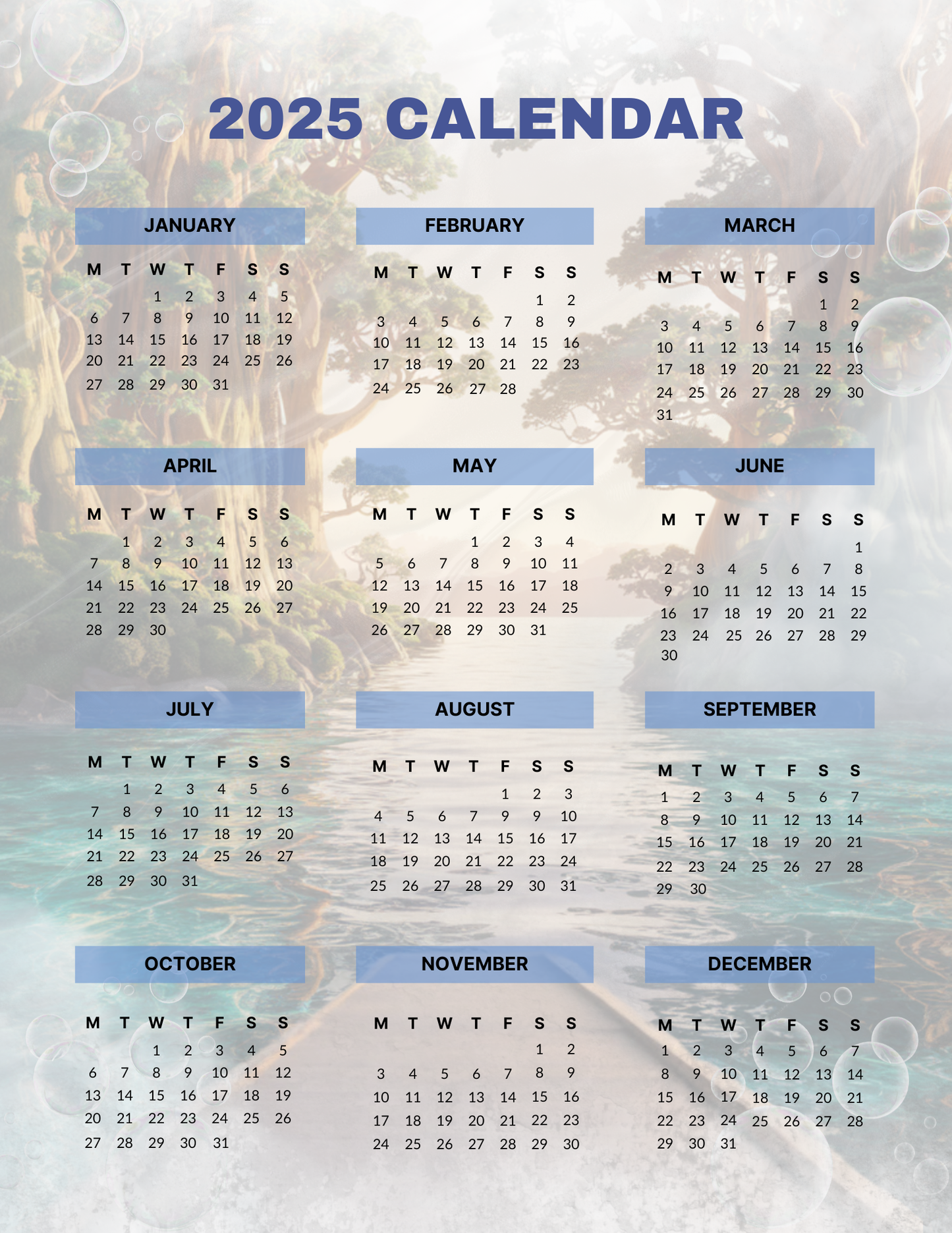 Life Planner 2025 (PLR)