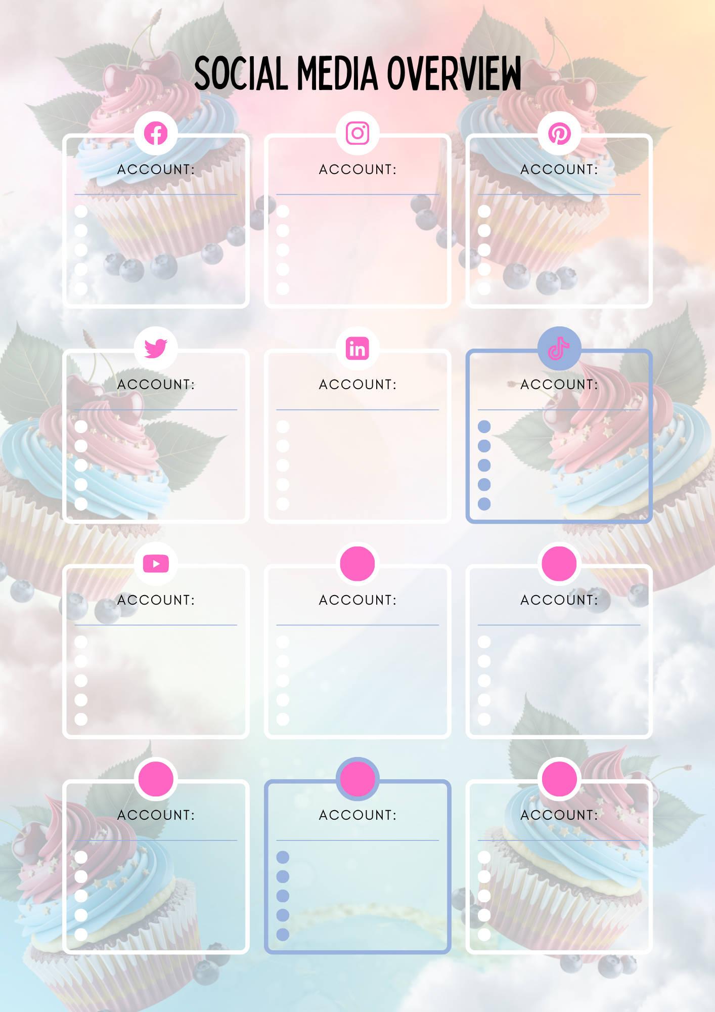 Social Media Planner (PLR)