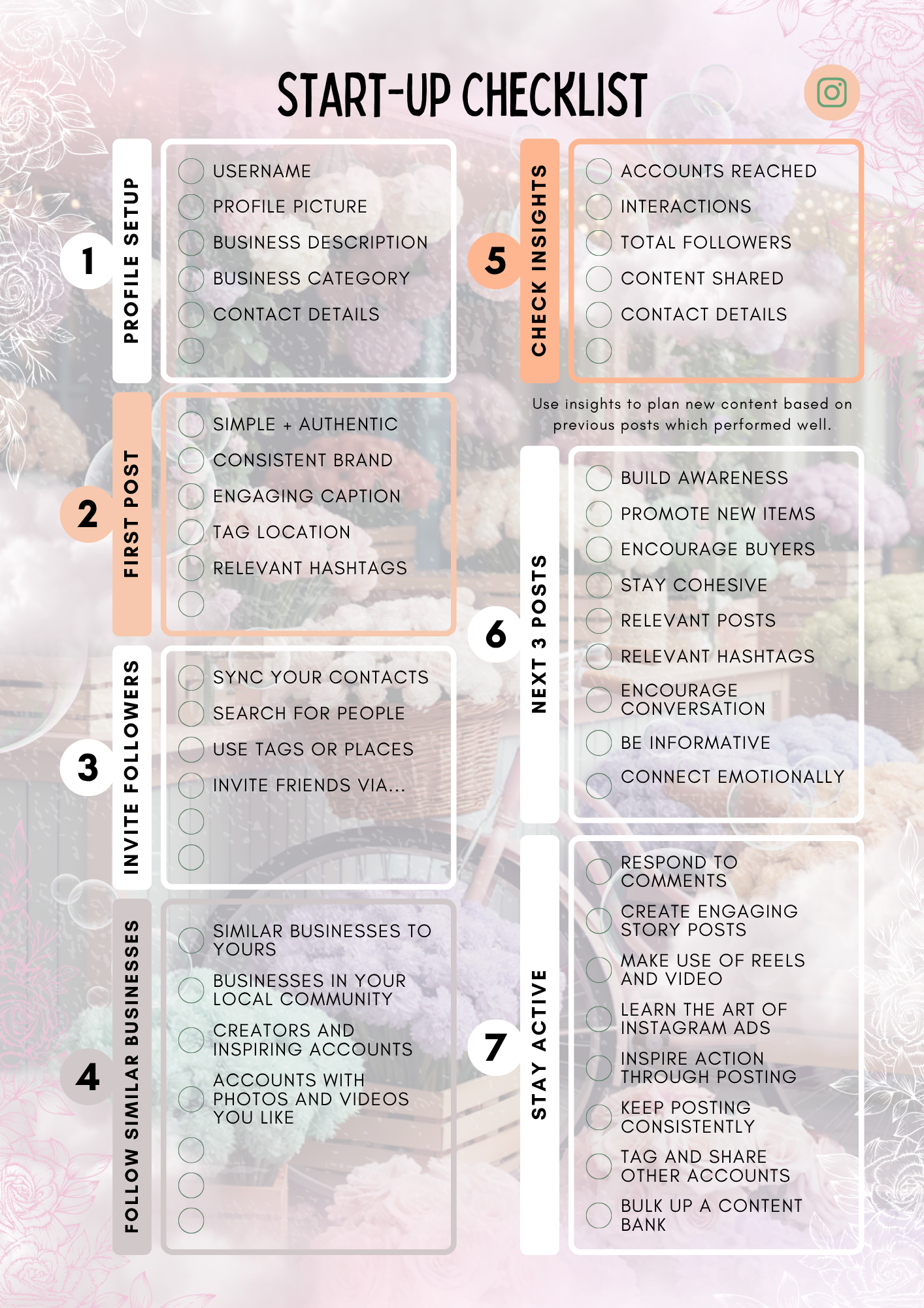 Instagram Planner (PLR)